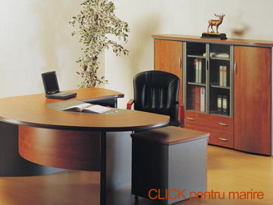 mobilier-birou-15