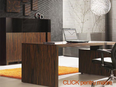 mobilier-birou-10
